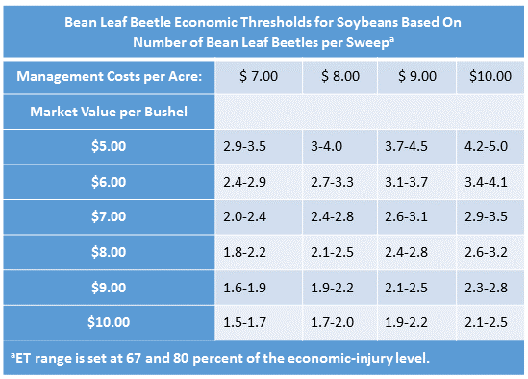 Bean Leaf Beetle Economic Thresholds