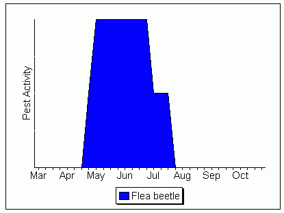 Flea Beetle Activity Graph