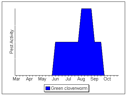 Green Cloverworm Activity