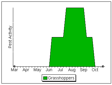 Grasshopper Activity Chart