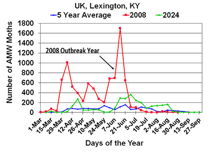 AMW Lexington