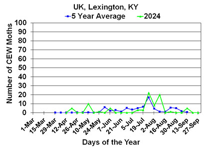 CEW Lexington