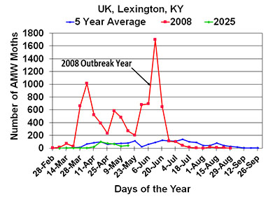 AMW Lexington